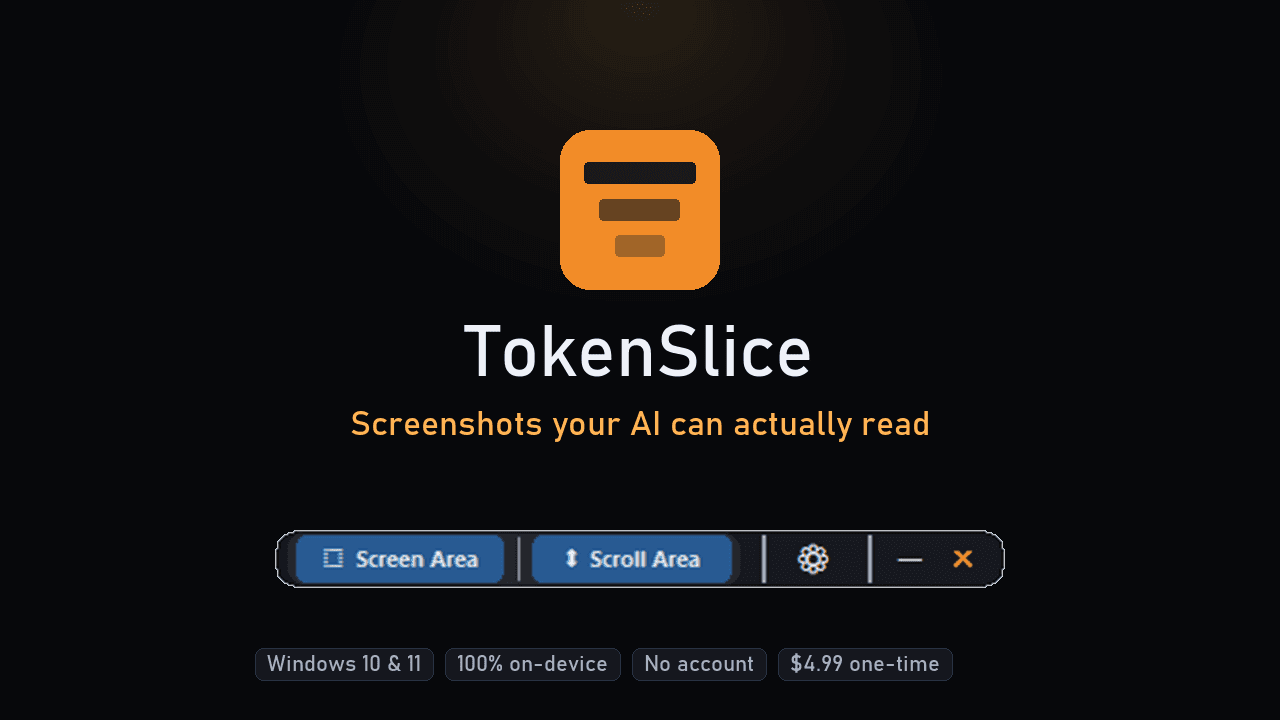 TokenSlice app icon and wordmark on a dark background